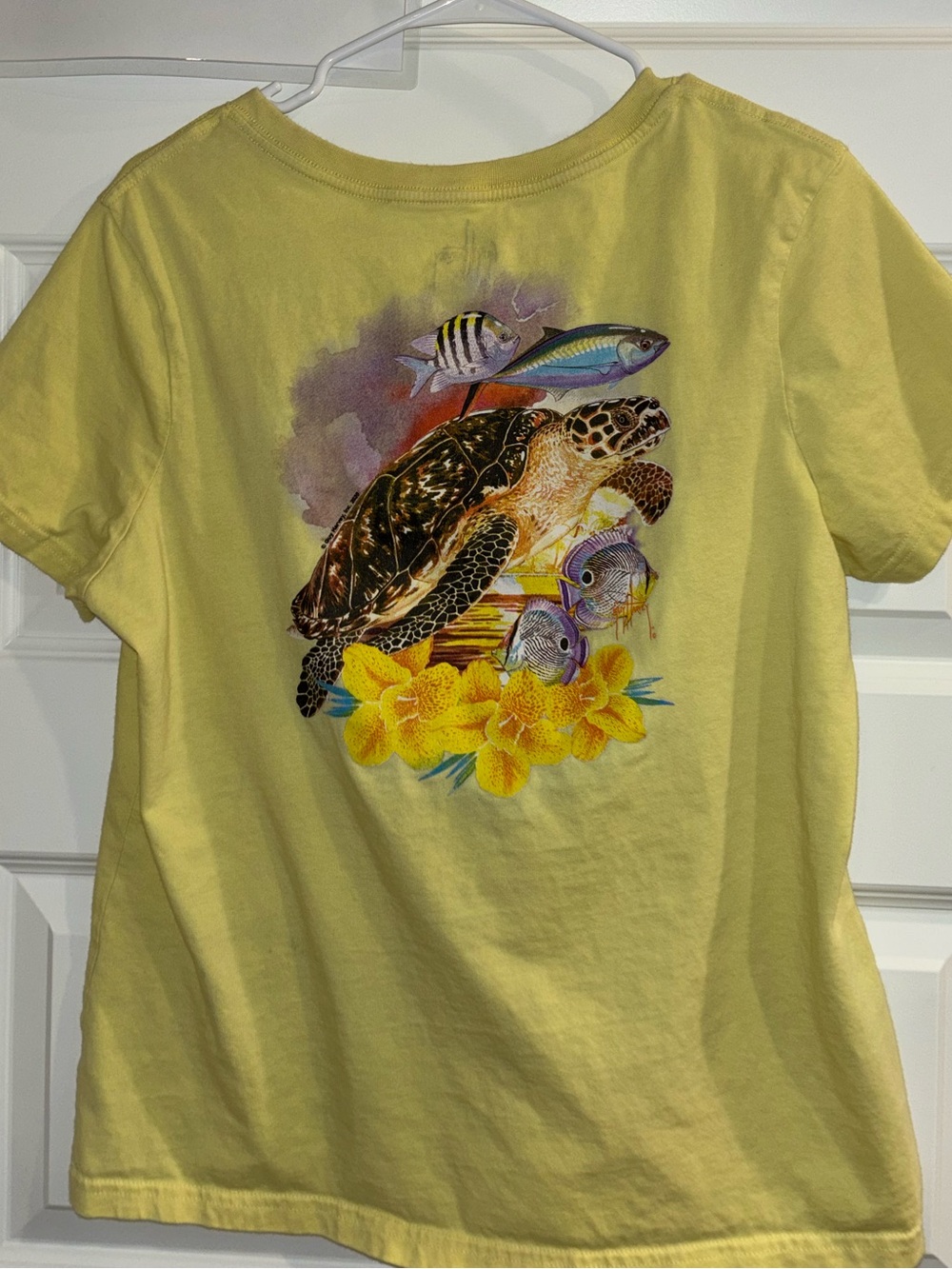 Guy Harvey Women’s Large Sea Turtle Tropical Fish Graphic Tee